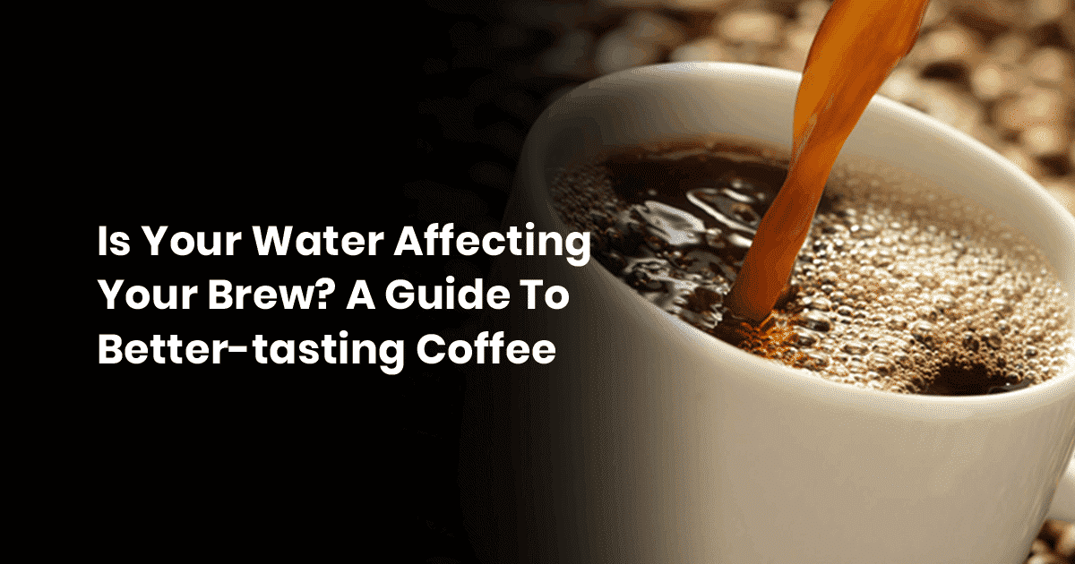 Is Water Affecting Your Brew? A Guide To Better Tasting Coffee