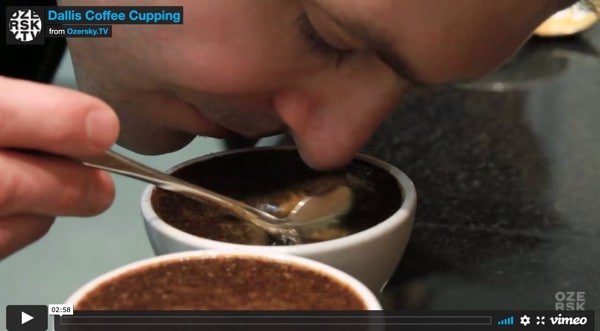 coffee cupping video