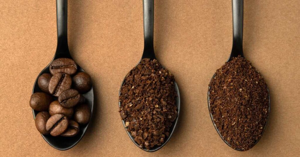 three spoons containing whole beans coarse ground and fine ground coffee