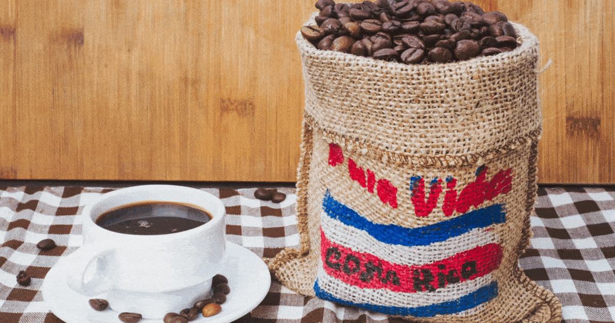 why is costa rican coffee the best?