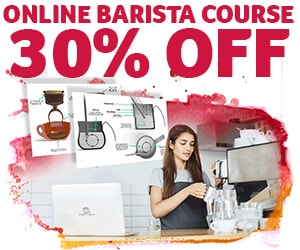 online barista training course