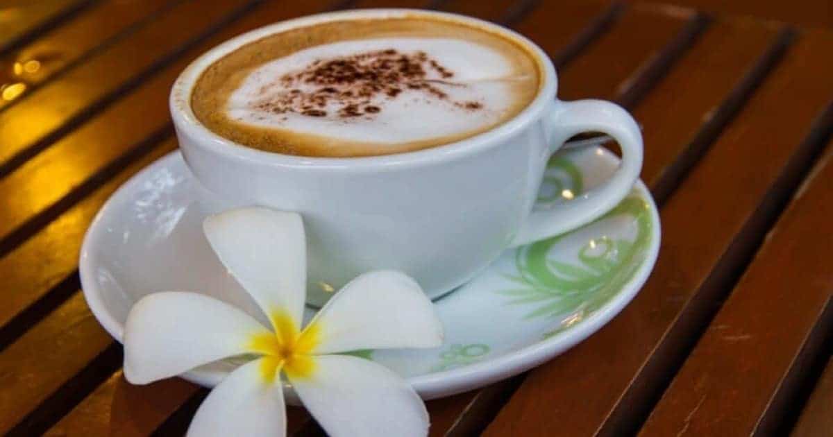 Hawaii Coffee Company – Hawaii’s Favorite Coffee Brands