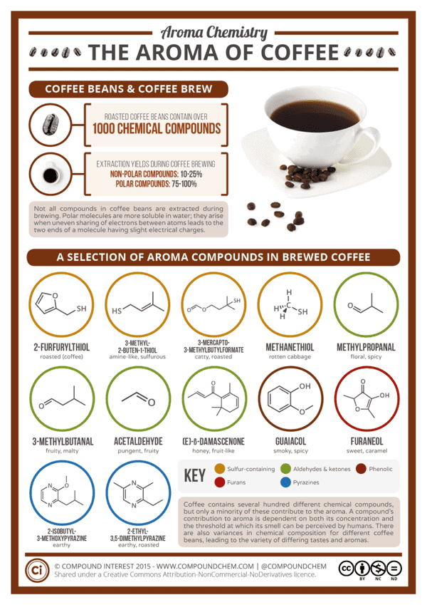infographic on the aroma of coffee